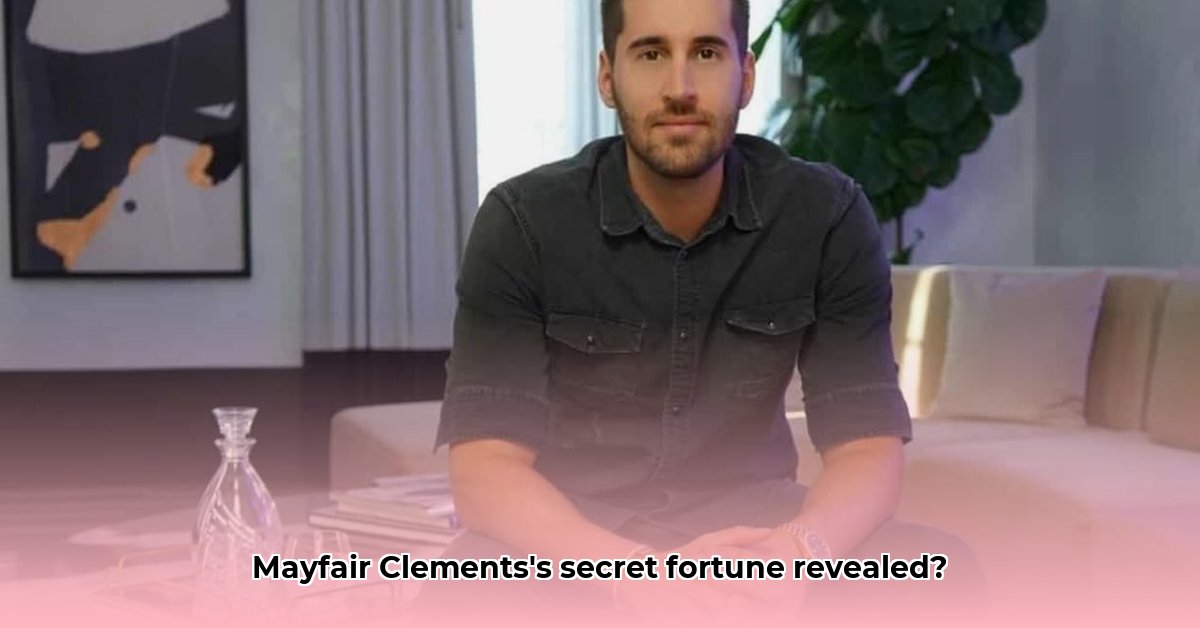 mayfair-clements-net-worth